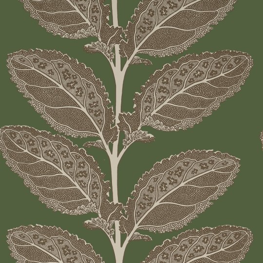 Thibaut T12040 Vista Lacinato Wild Sage - tapeta w liście