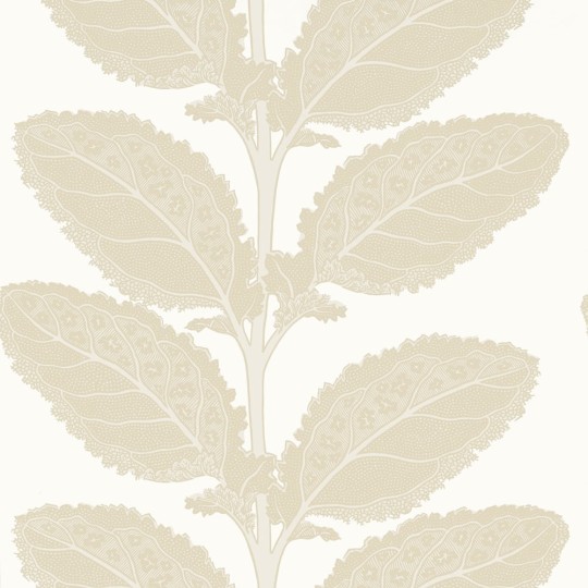 Thibaut T12041 Vista Lacinato Birch - tapeta w liście