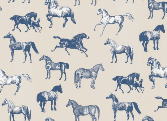 Sandberg S10413 Special Edition Colette Blue – mural w konie