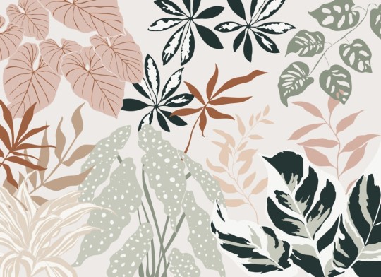 Hovia NA0020NE04W Calathea - mural w egzotyczne liście