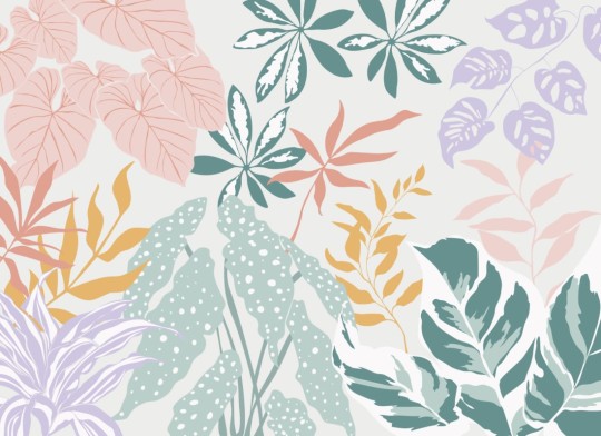 Hovia NA0021PA04W Calathea Pastel - mural w egzotyczne liście