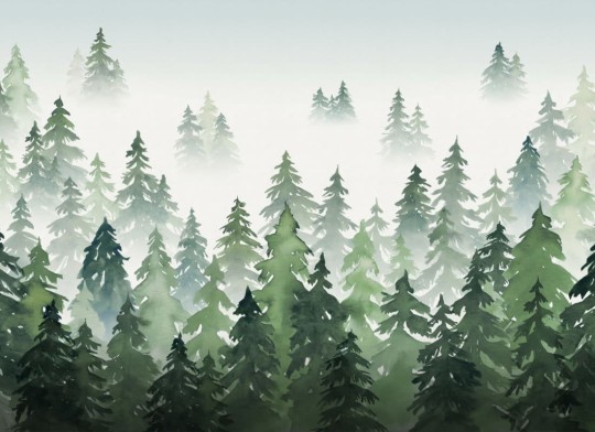 Hovia FO0092GR04W Tylöskog Green - mural w leśny krajobraz we mgle