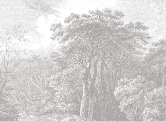 Hovia FO0094GE05W Hackfall Grey - mural w roślinny krajobraz