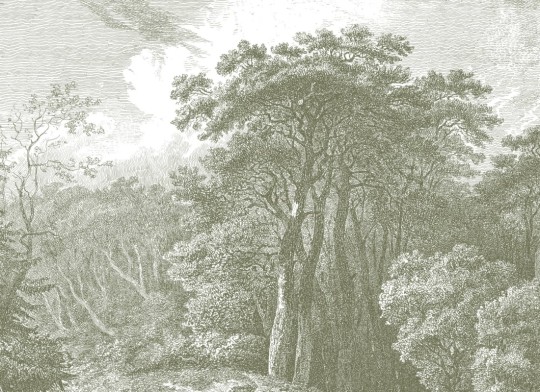 Hovia FO0095GR05W Hackfall Green - mural w roślinny krajobraz