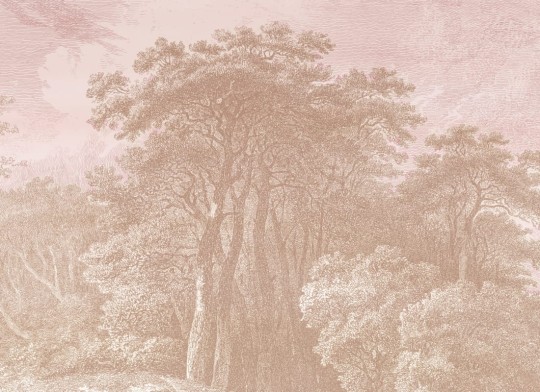 Hovia FO0107PI06W Hackfall Pink - mural w roślinny krajobraz