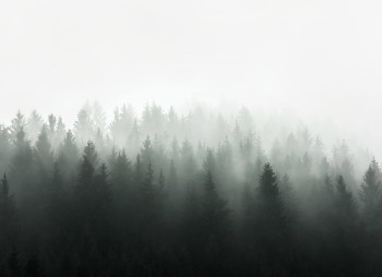 0e73f6000bc40278cd08208b77f04784