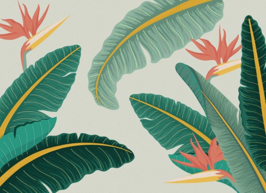 Hovia TR0021GR03W Midsummer - mural w liście bananowca