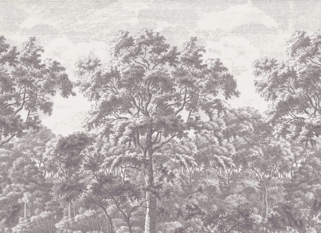 Hovia FO0097GE05W Wytham Grey - mural w drzewa