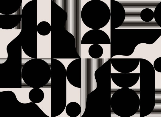 Hovia GE0145BW03W Improvise Black - mural w geometryczny wzór