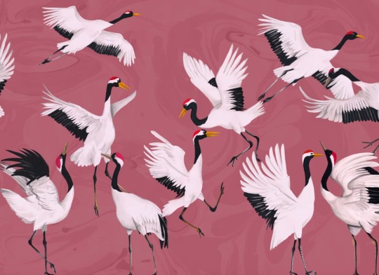 Hovia AN0052PI03W Tancho Pink - mural w żurawie