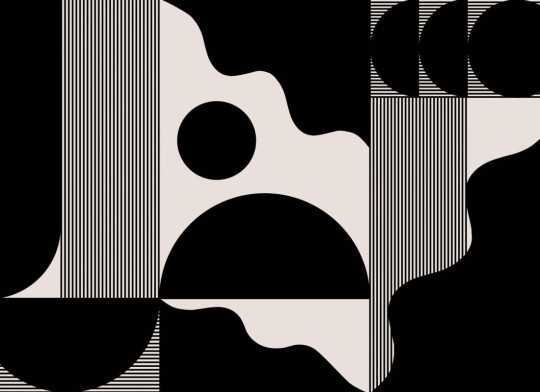 Hovia GE0146BW03W Modal Black - mural w geometryczny wzór