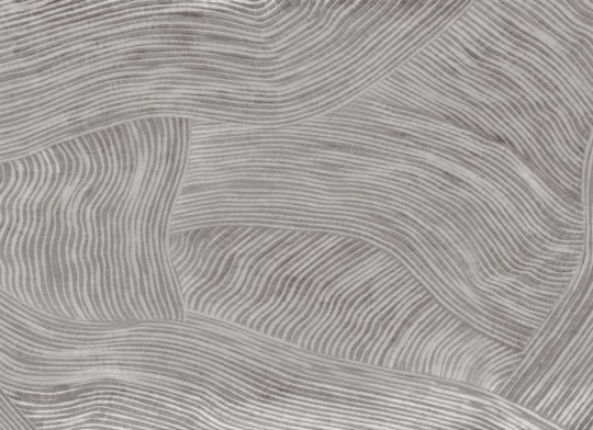 Hovia AB0315GE03W Trail Grey - mural w organiczne linie