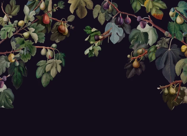 Hovia FL0126DA03W Ficus - mural w drzewo figowe