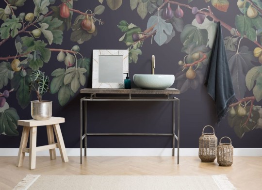Hovia FL0126DA03W Ficus - mural w drzewo figowe