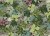 1bfe62aaaa907cf62be6c71fc2edf4a7