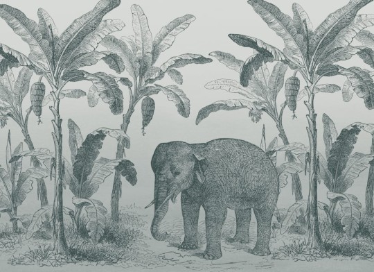 Hovia AN0556BU04W Loxodonta Teal - mural w słonia i egzotyczne rośliny