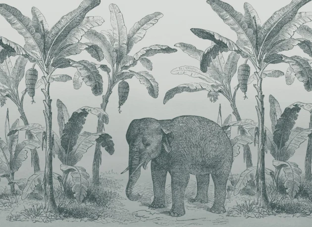 Hovia AN0556BU04W Loxodonta Teal - mural w słonia i egzotyczne rośliny