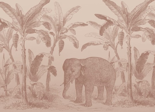 Hovia AN0557PI04W Loxodonta Terracotta - mural w słonia i egzotyczne rośliny