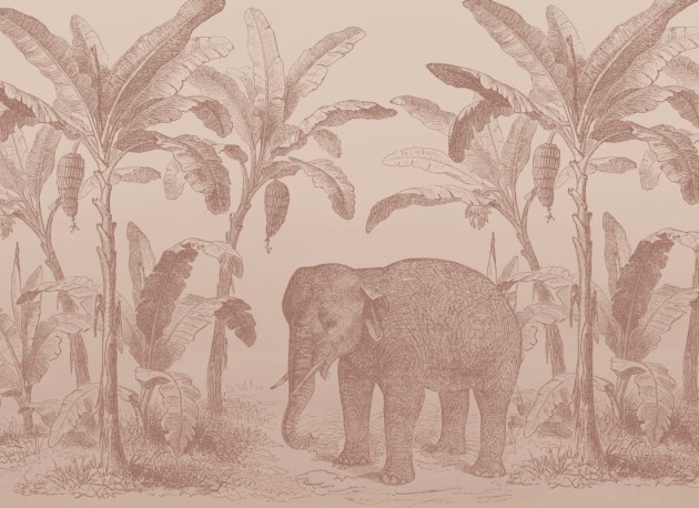 Hovia AN0557PI04W Loxodonta Terracotta - mural w słonia i egzotyczne rośliny