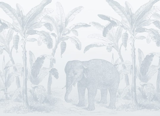 Hovia AN0558BU04W Loxodonta Blue - mural w słonia i egzotyczne rośliny