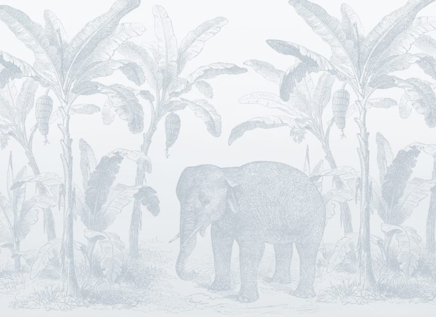 Hovia AN0558BU04W Loxodonta Blue - mural w słonia i egzotyczne rośliny