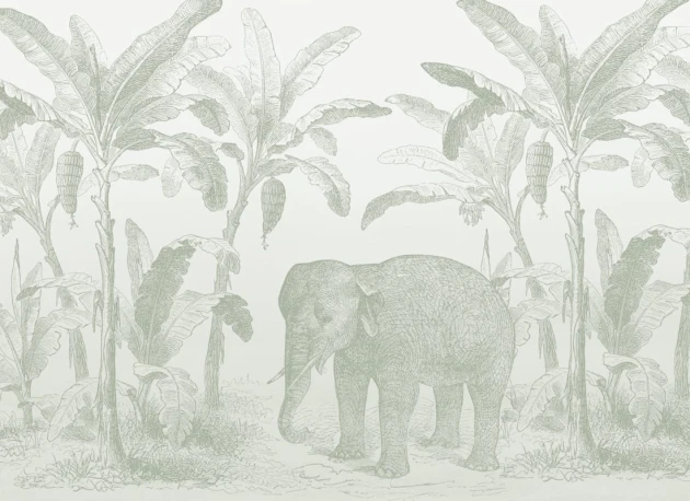 Hovia AN0560GR04W Loxodonta Sage Green - mural w słonia i egzotyczne rośliny