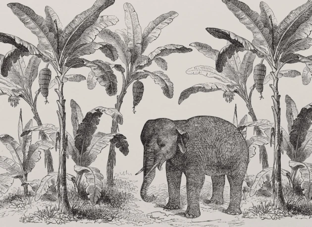 Hovia EL0001BW02W Loxodonta - mural w słonia i egzotyczne rośliny