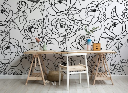Hovia FL0093BW03W Peony - mural w minimalistyczne piwonie