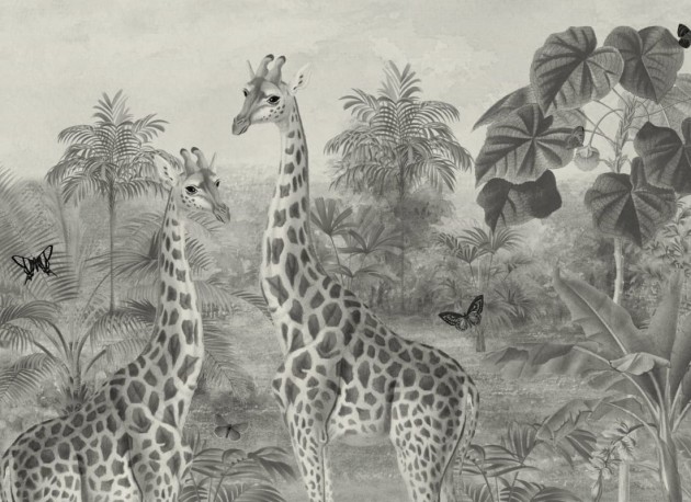 Hovia AN0230BW07W Giraffa Grey - mural w żyrafy