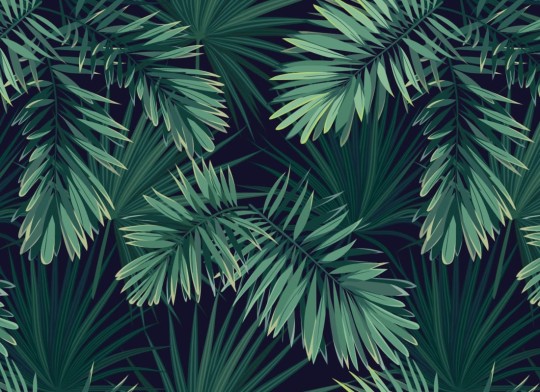 Hovia TR0001GR30W Branch - mural w duże tropikalne liście