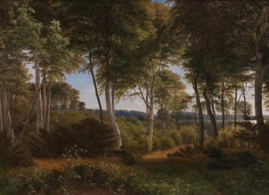 Hovia FO0368GR04W Delhoved Forest Dark - mural w leśny pejzaż