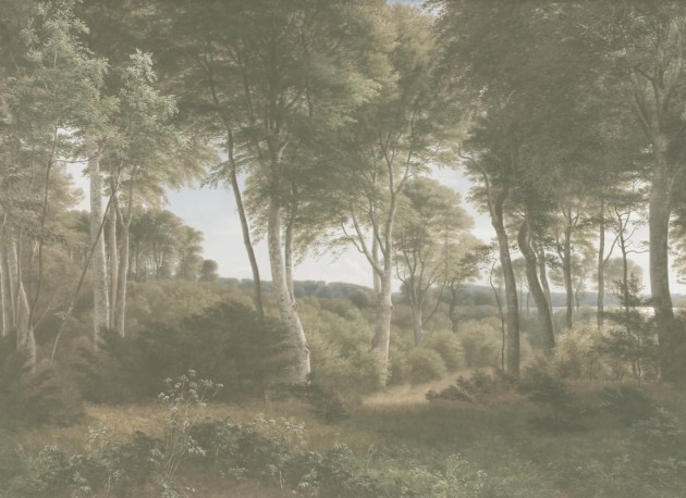 Hovia FO0369GR04W Delhoved Forest Light - mural w leśny pejzaż