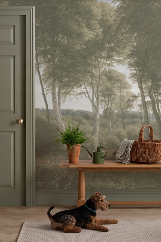 Hovia FO0369GR04W Delhoved Forest Light - mural w leśny pejzaż