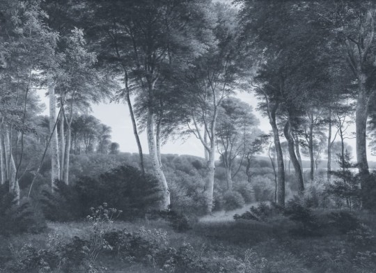 Hovia FO0370BU04W Delhoved Forest Blue - mural w leśny pejzaż