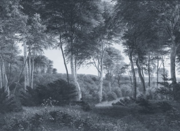 Hovia FO0370BU04W Delhoved Forest Blue - mural w leśny pejzaż