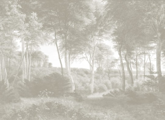 Hovia FO0371NE04W Delhoved Forest Neutral - mural w leśny pejzaż