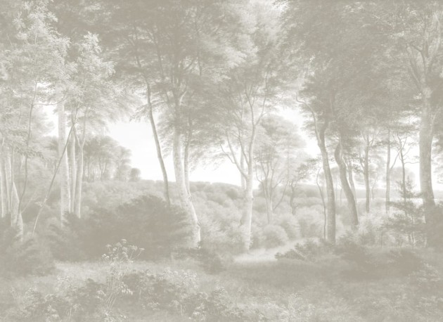 Hovia FO0371NE04W Delhoved Forest Neutral - mural w leśny pejzaż