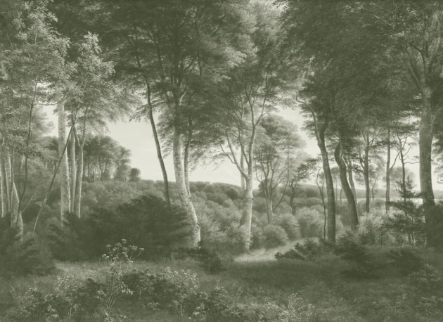 Hovia FO0372GR04W Delhoved Forest Green - mural w leśny pejzaż