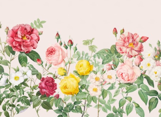 Hovia FL0090MU04W Bagatelle - mural w kwiaty