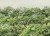 380cfbce93d718e9f5cdffa24fcc65a6