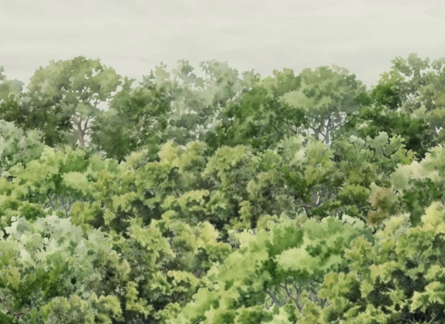 Hovia FO0109GR07W Buttonwood Green - mural w drzewa