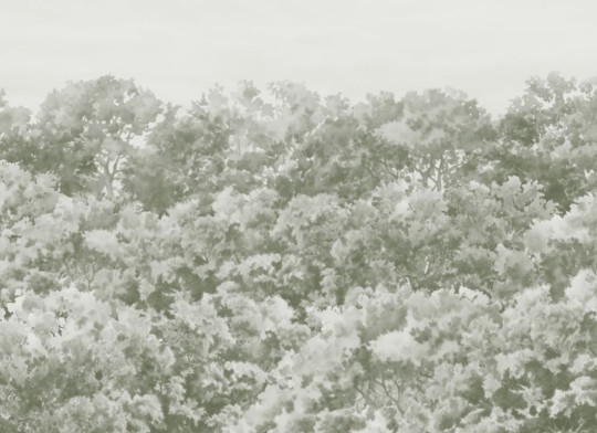 Hovia FO0110GR07W Buttonwood Sage - mural w drzewa