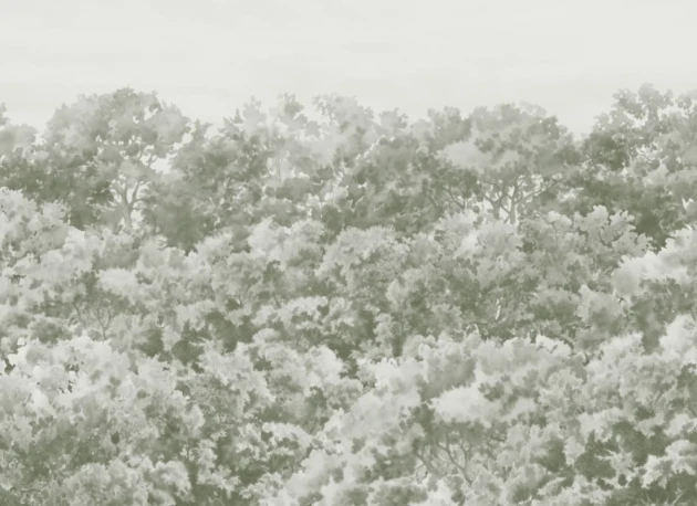 Hovia FO0110GR07W Buttonwood Sage - mural w drzewa