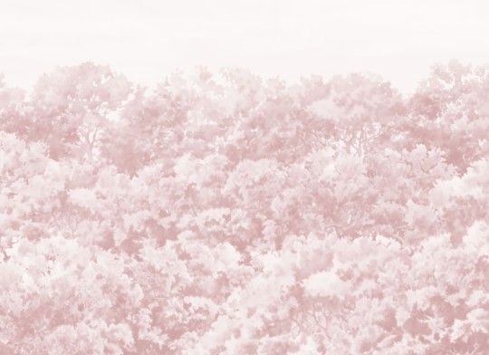 Hovia FO0111PI07W Buttonwood Pink - mural w drzewa