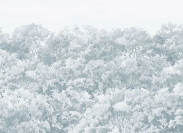 Hovia FO0112BU07W Buttonwood Blue - mural w drzewa