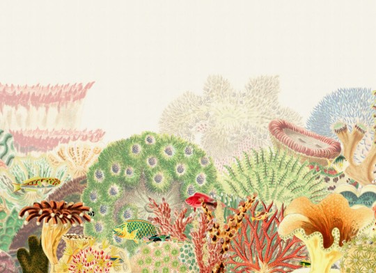 Hovia OC0030MU06W Reef Multi - mural w rafę koralową