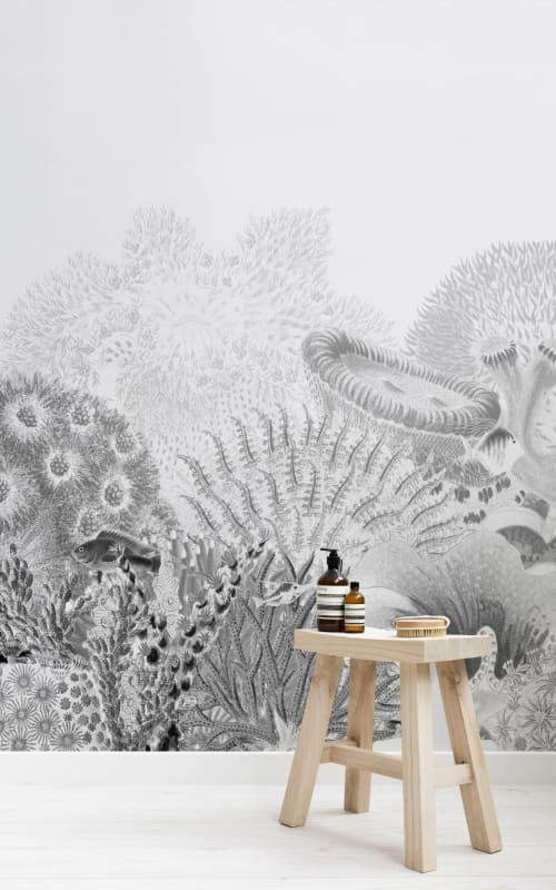 Hovia OC0032GE06W Reef Grey - mural w rafę koralową
