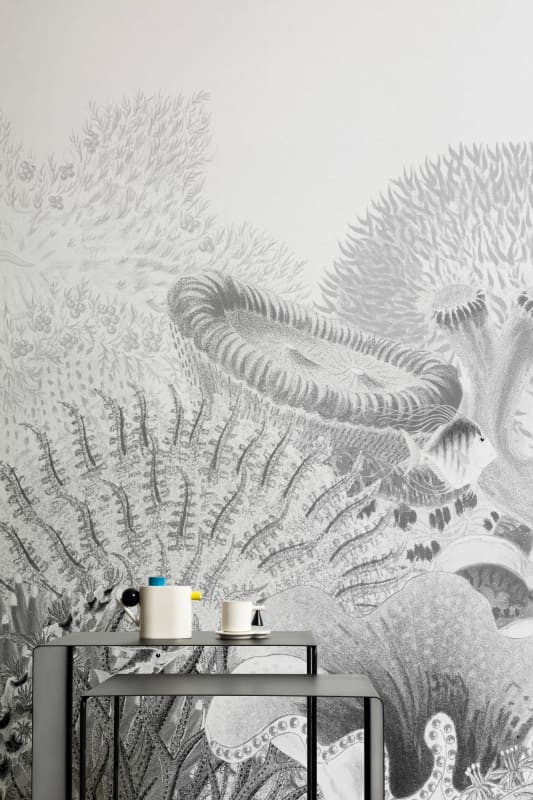 Hovia OC0032GE06W Reef Grey - mural w rafę koralową