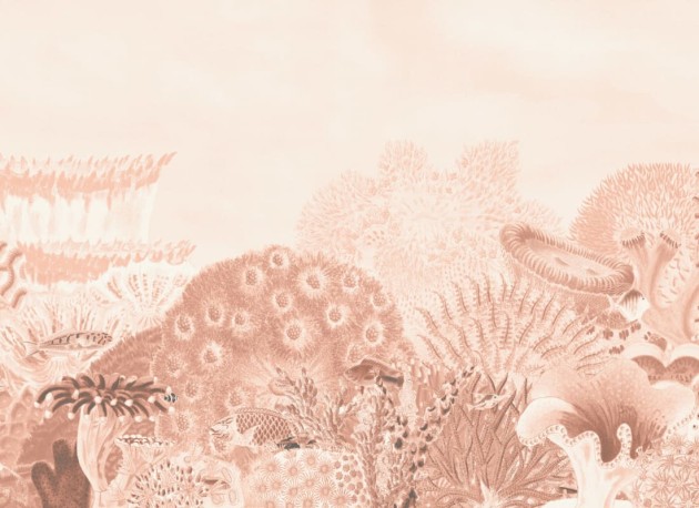 Hovia OC0033PI06W Reef Peach - mural w rafę koralową