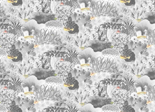 Hovia OC5002GE06W Hexacorallia Grey - mural w morskie rośliny